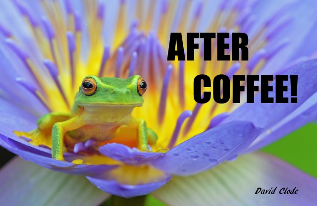 "After Coffee!". Frog poster by david Clode.